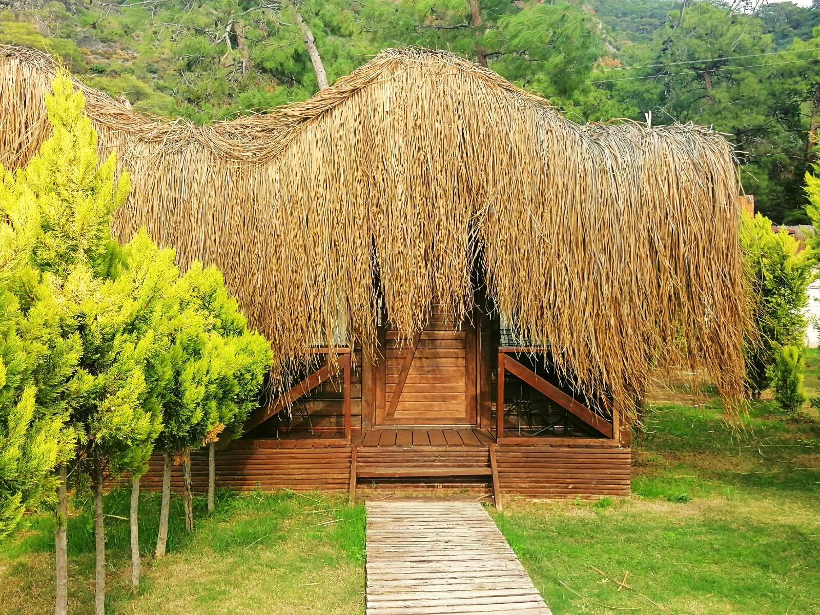 Tree House Oda