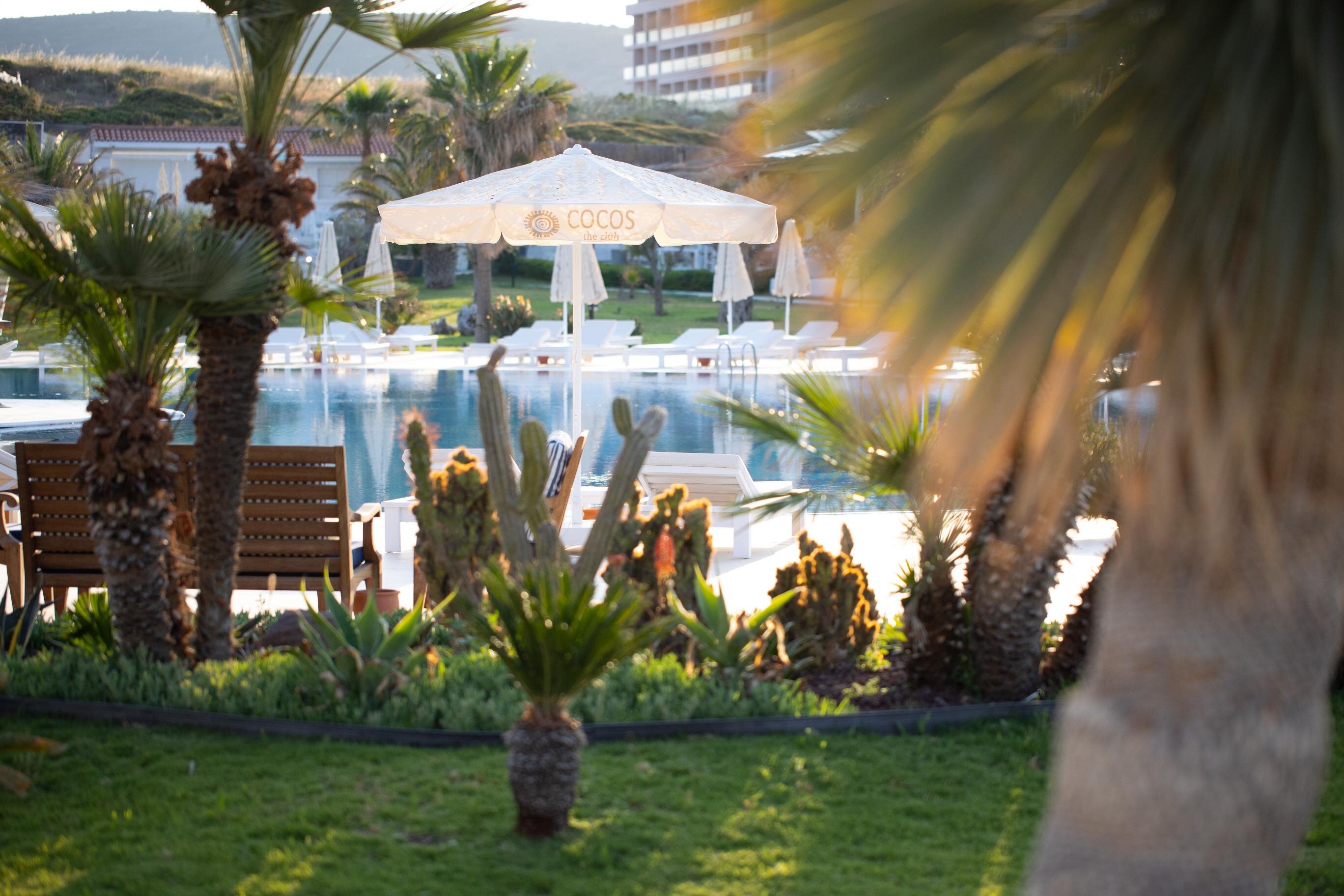 Cocos The Club Solto galeri 4