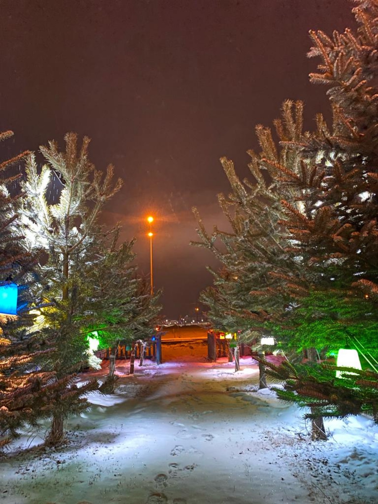 Snow Life Hotel Sarıkamış