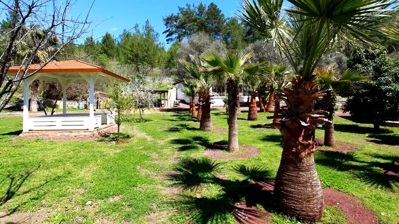 Nature Village Olympos