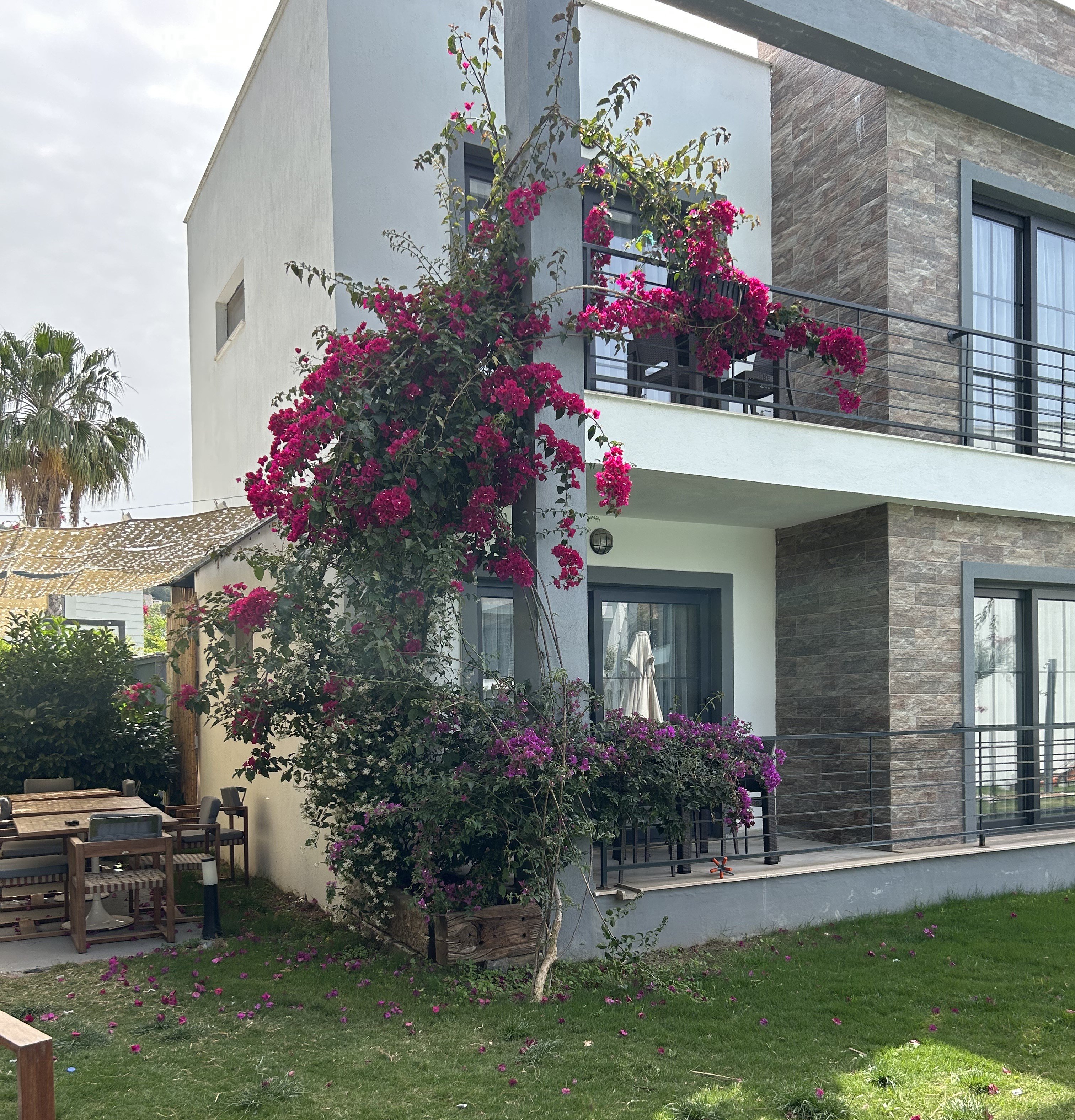 Malta Bodrum · 40