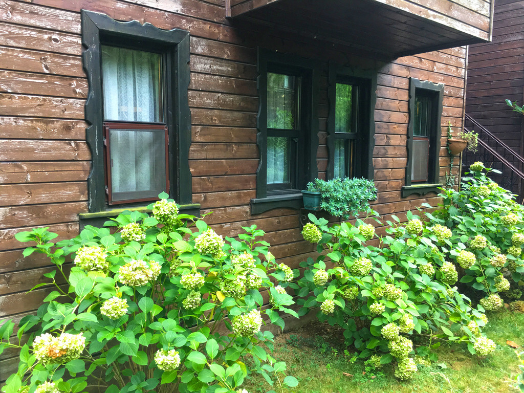 Ağva Piccolo Mondo Hotel (+12 Yetişkin Oteli)