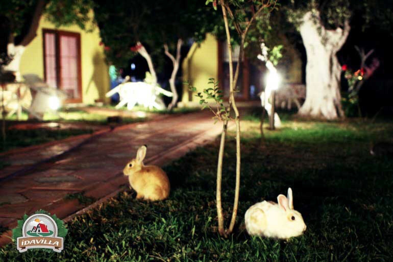 İdavilla Bungalov&Bahce · 11