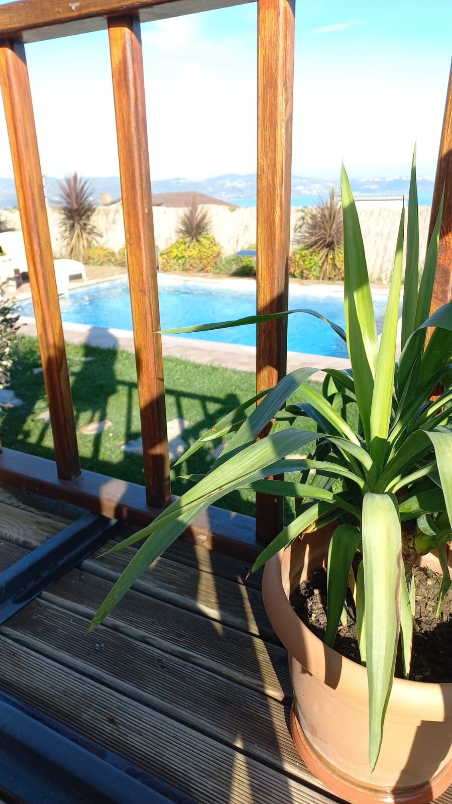 North Life Bungalov Sapanca · 19