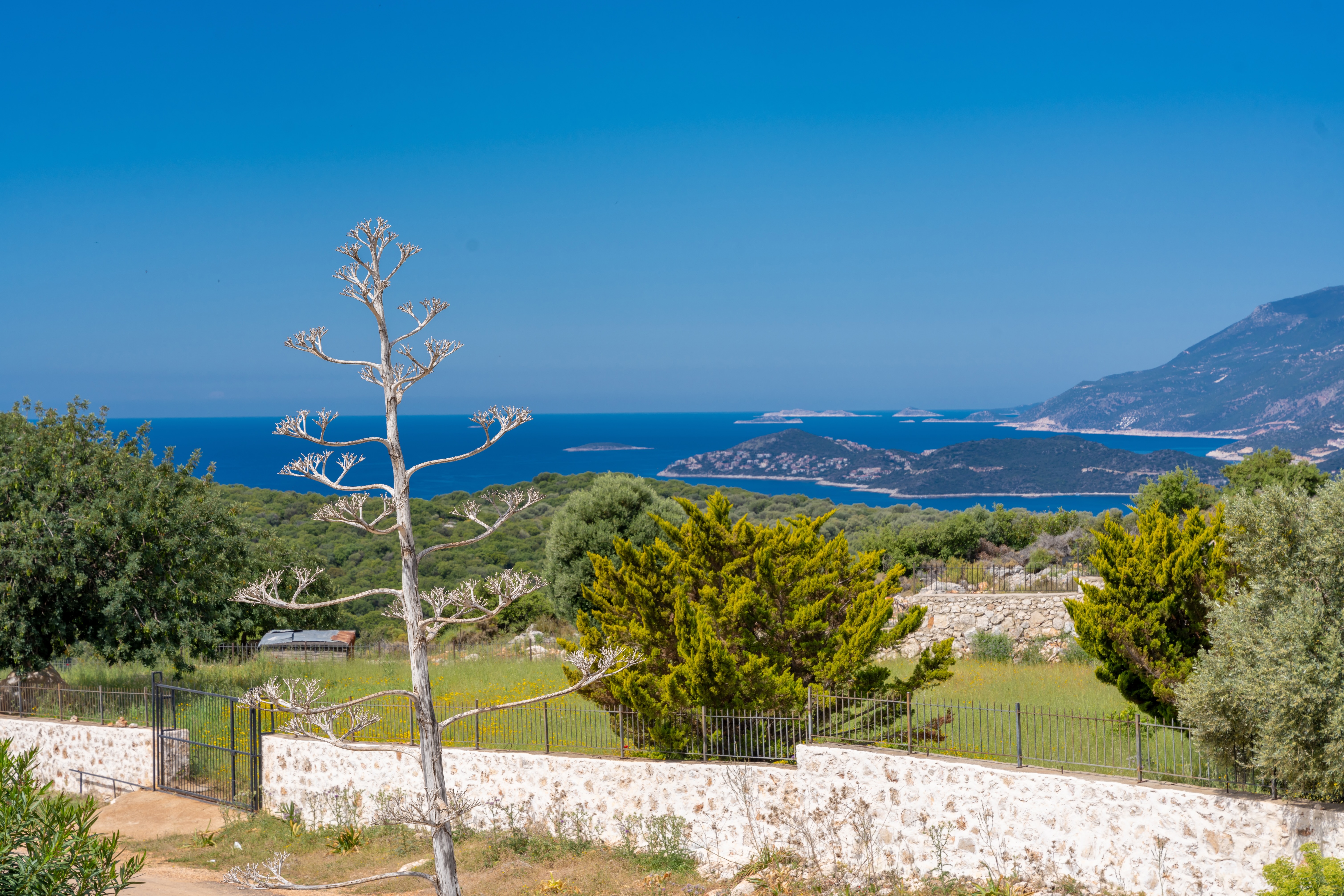 Lacitrus Villa Hotel