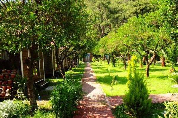 Likya Evleri Olympos galeri 9