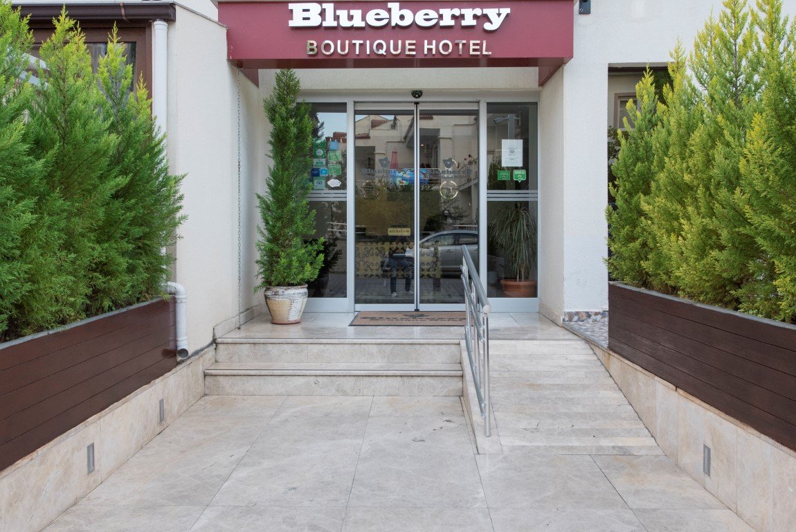 Blueberry Boutique Hotel · 45