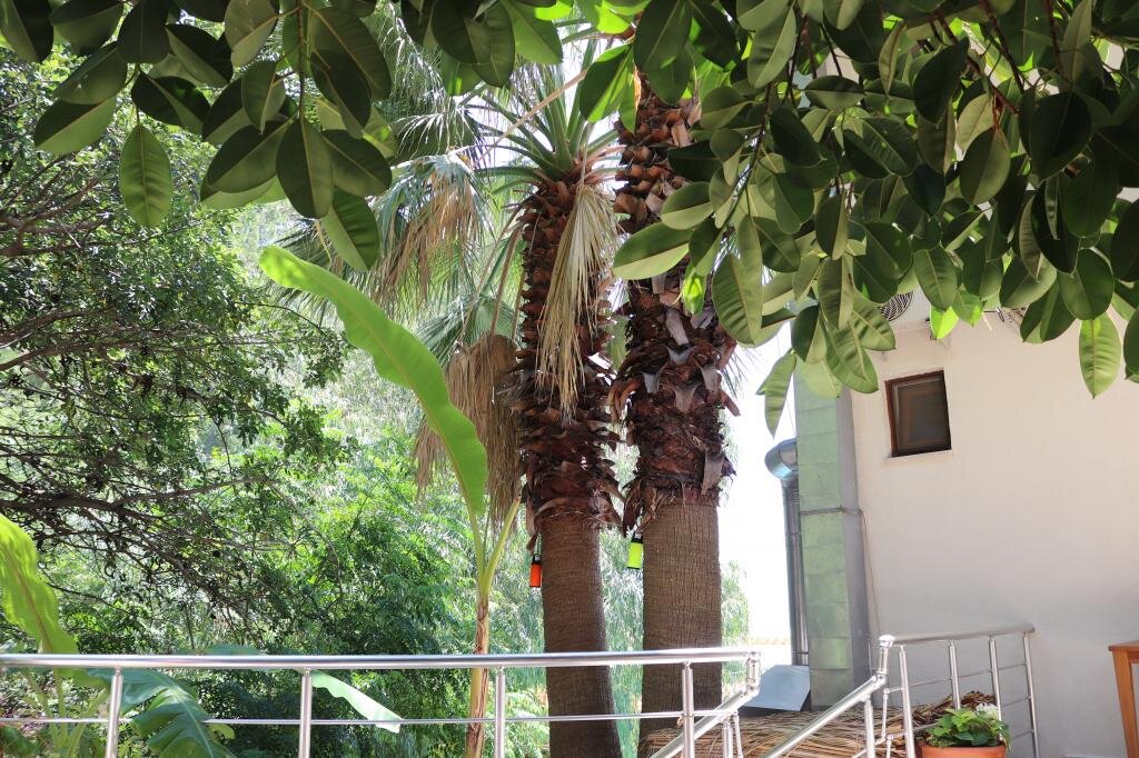 Eden Pyara Hotel Turunc
