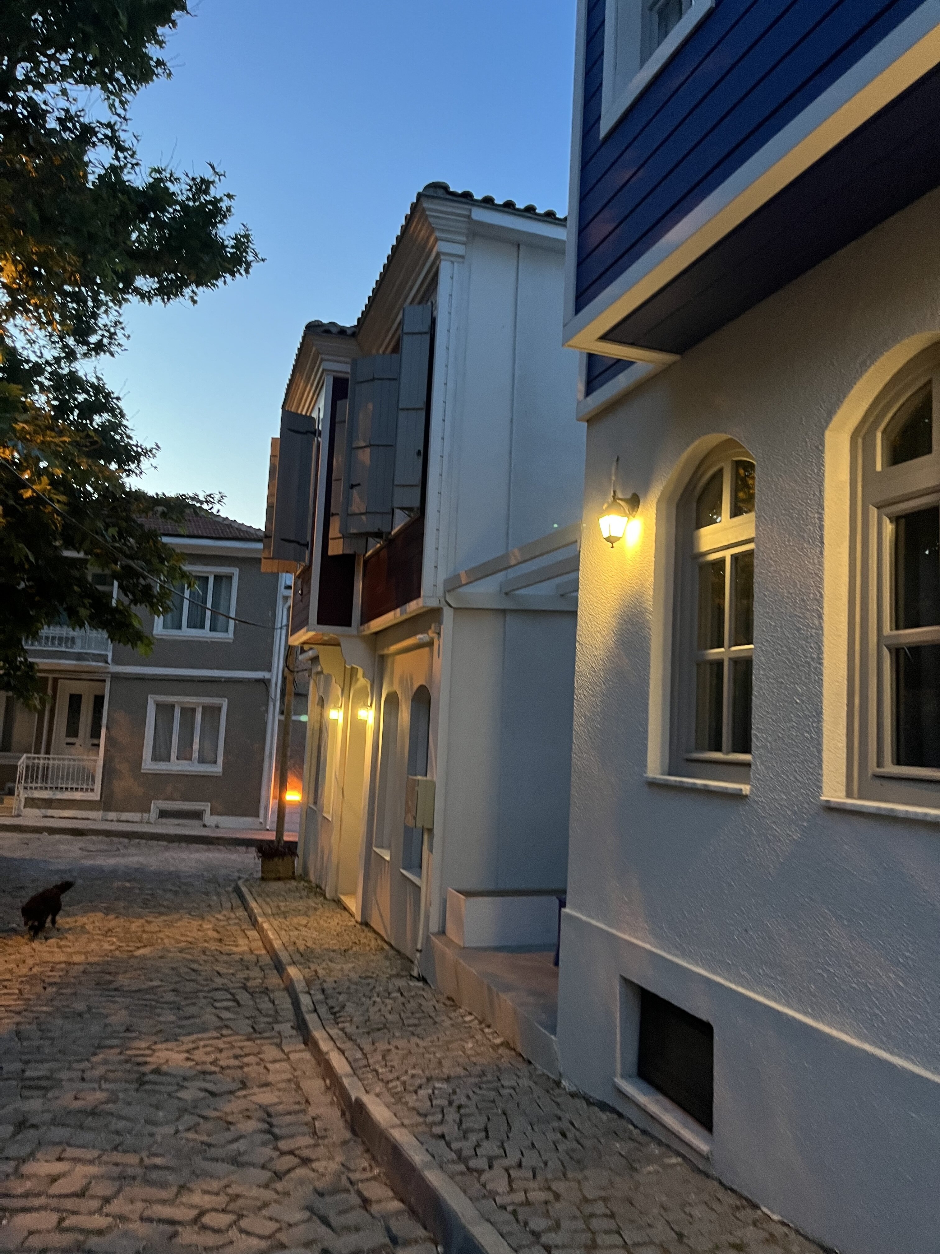 Lime Bozcaada Ada galeri 8