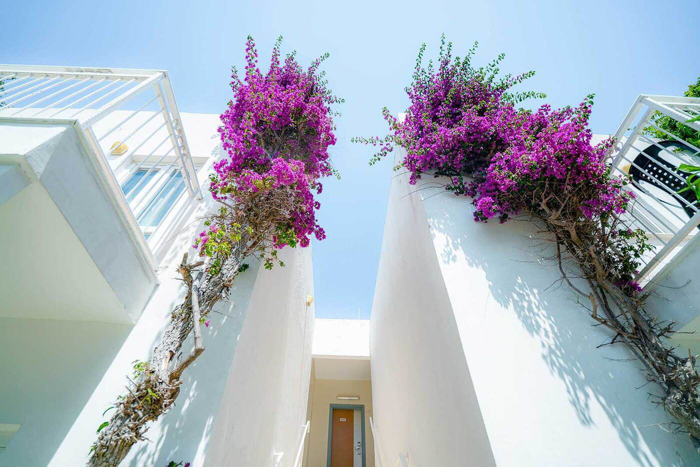 Petunya Beach Resort