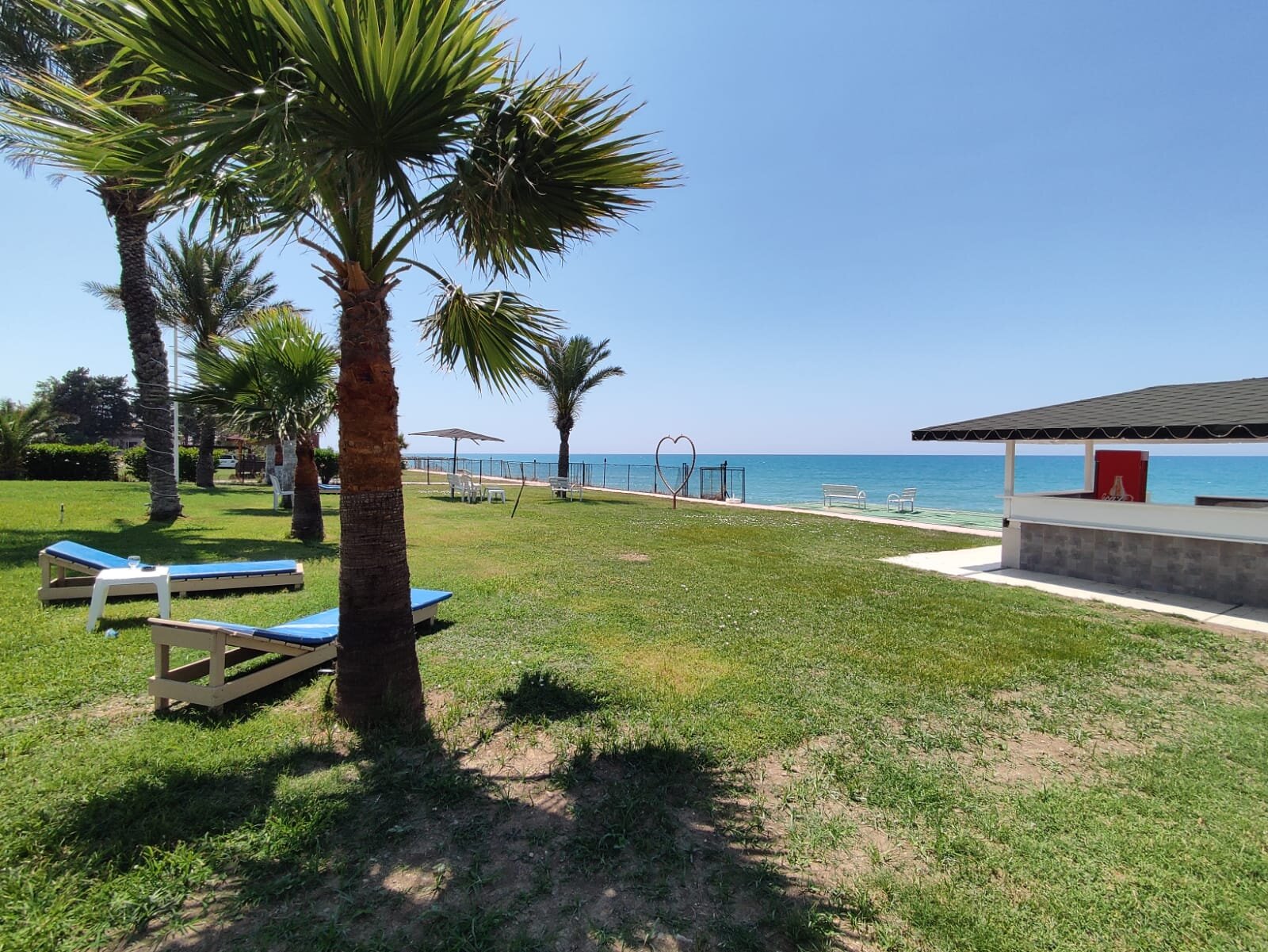 Diva Turka Hotel & Beach galeri 9