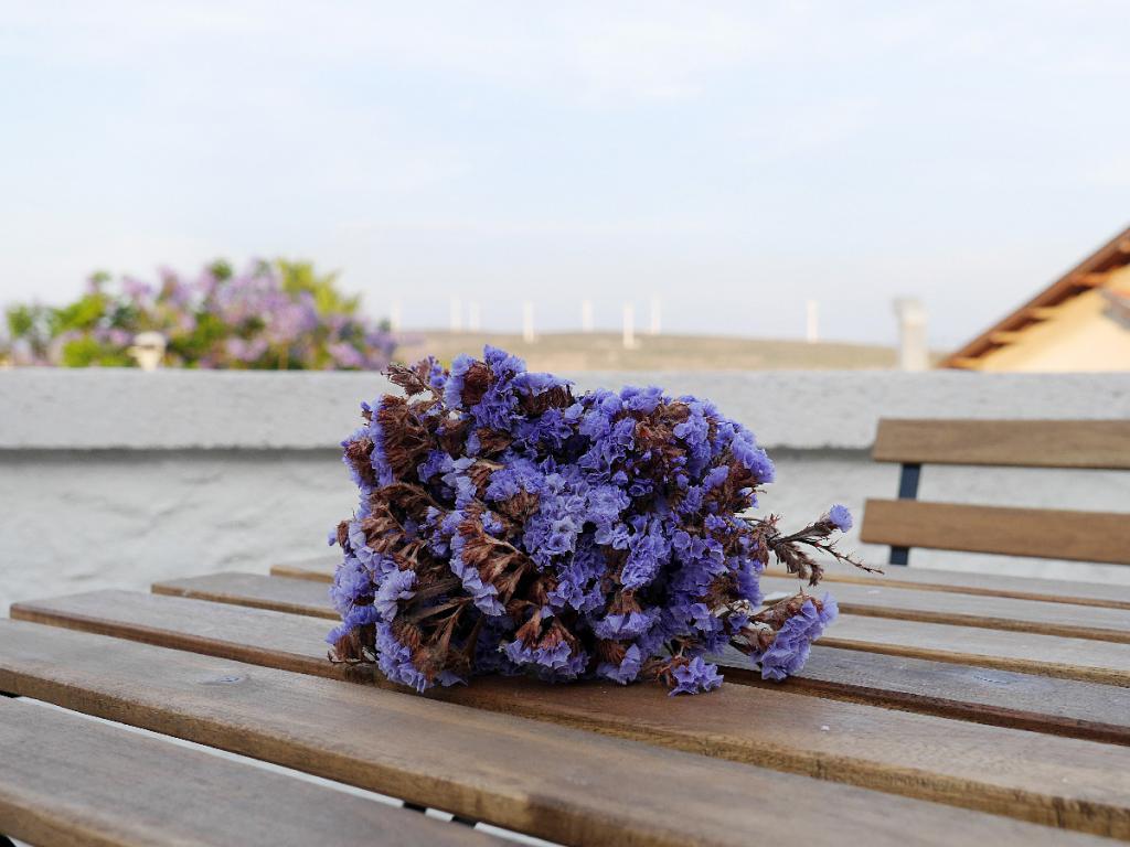 Lotus Köyiçi Alaçatı