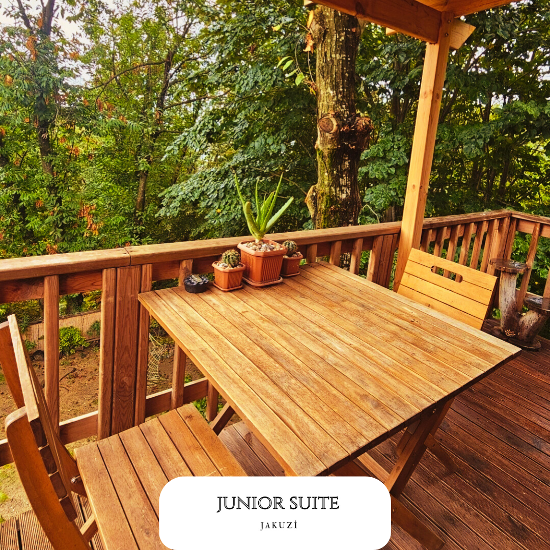 Junior Suite Room