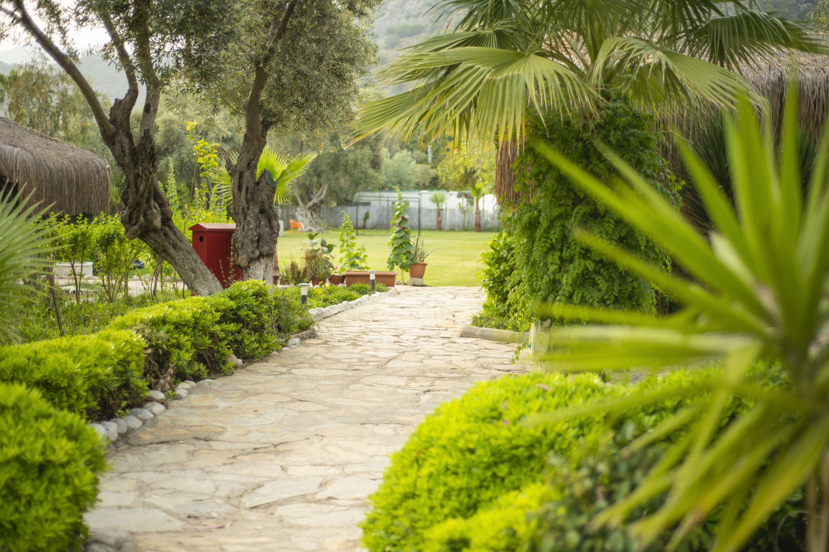 The Sugar Beach Club