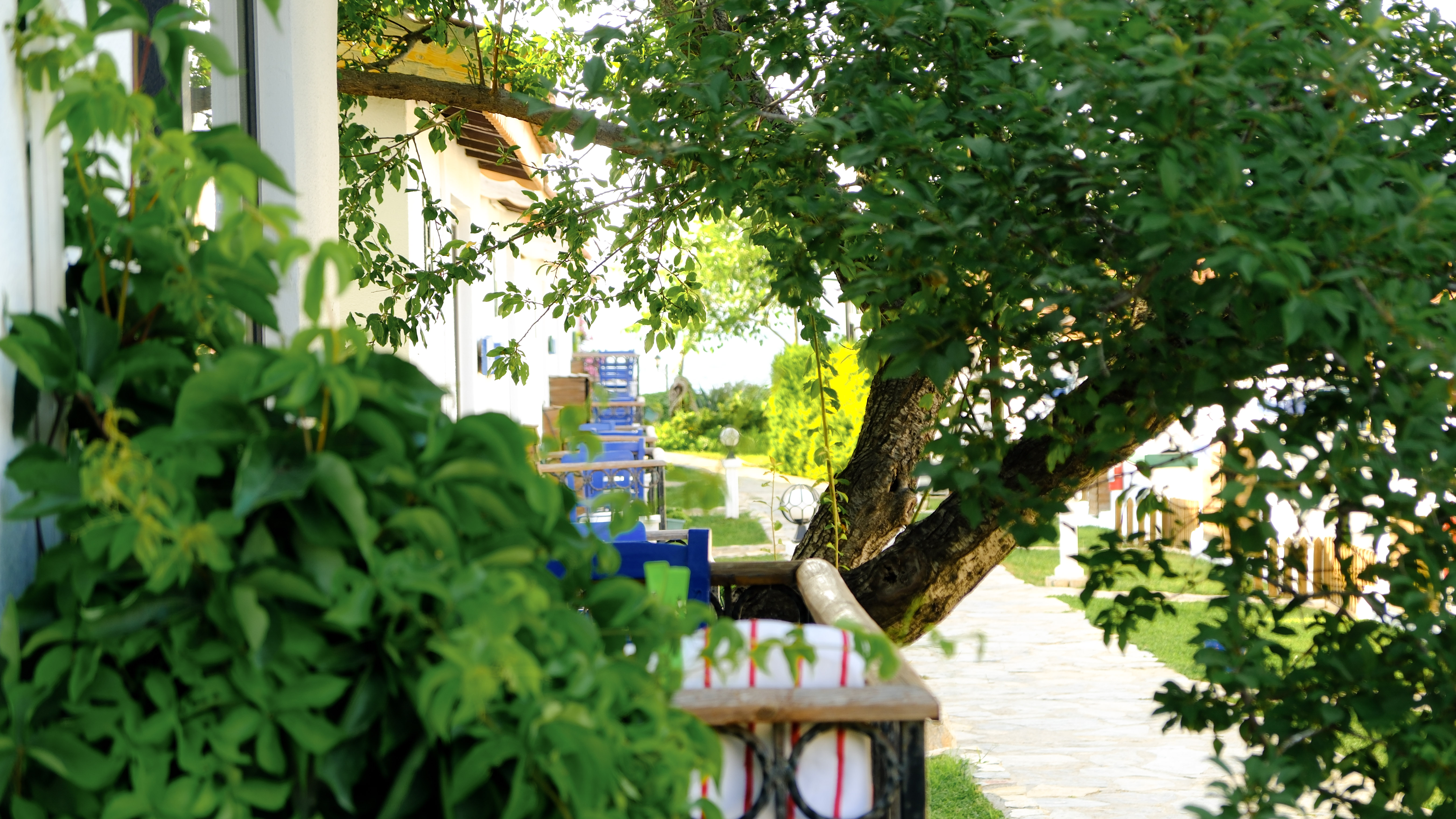 Maya Bistro Hotel Beach