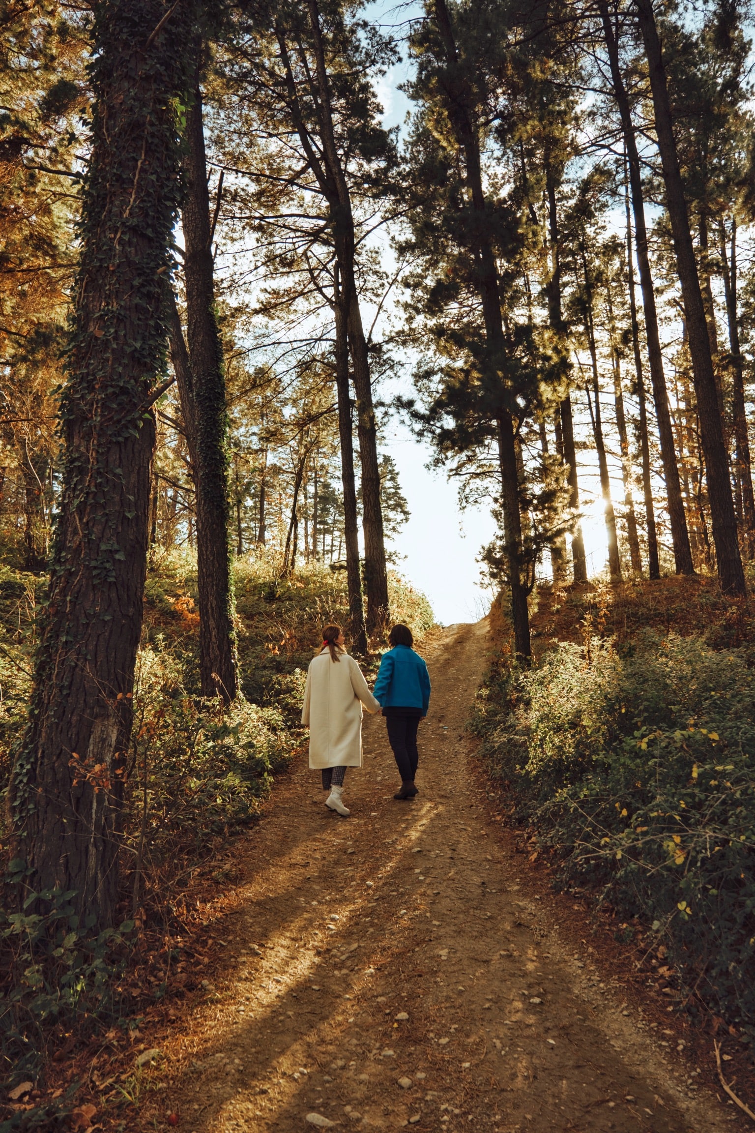 Woodlodge Country Sapanca