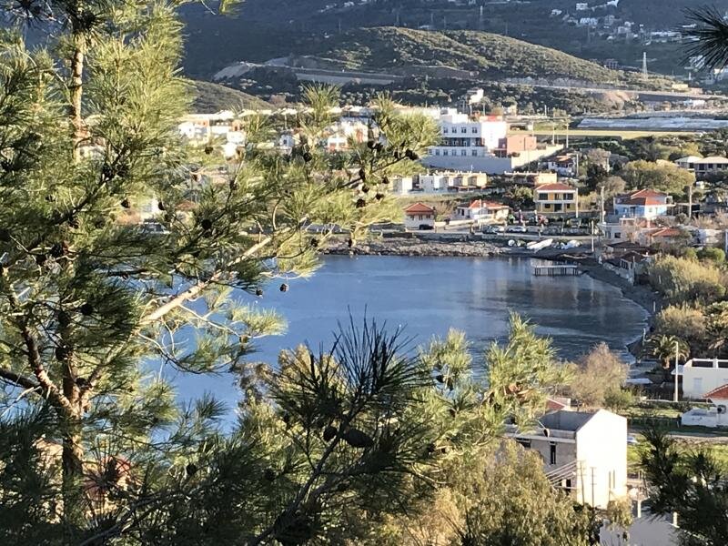 Palmiye Butik Pansiyon Karaburun