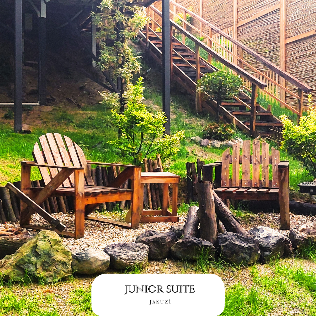Junior Suite Room
