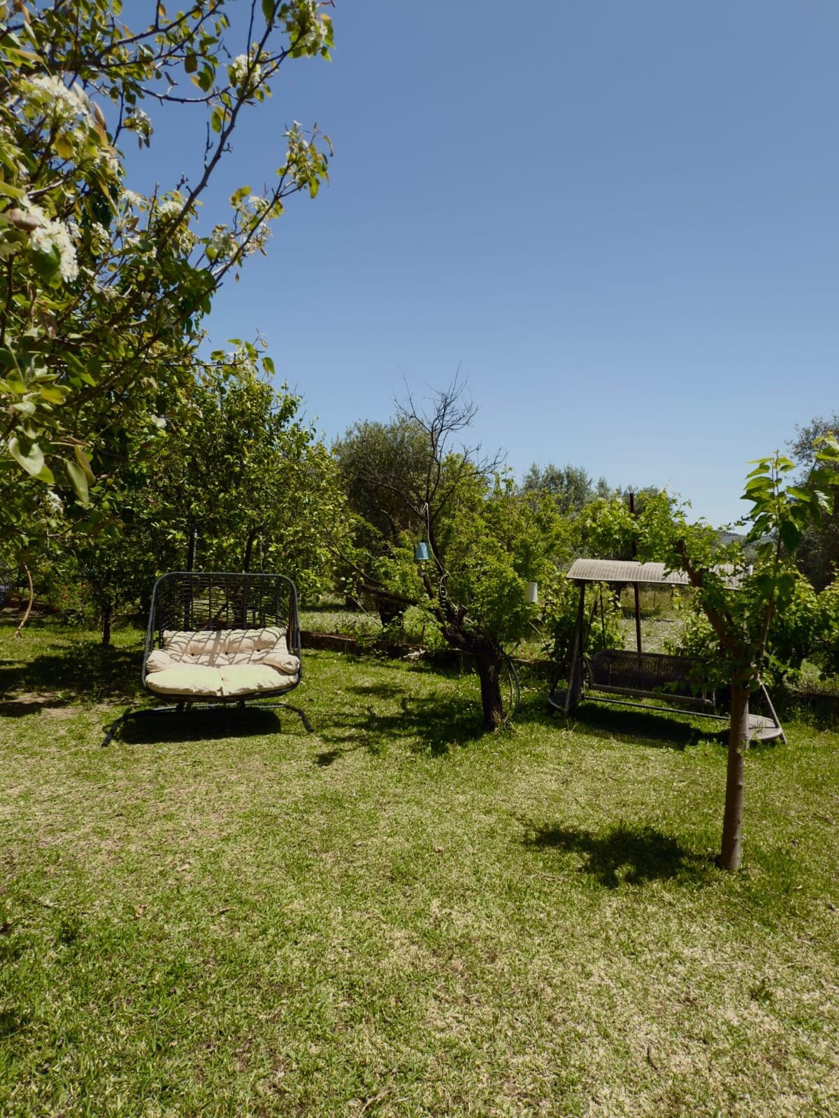 Kategorisiz