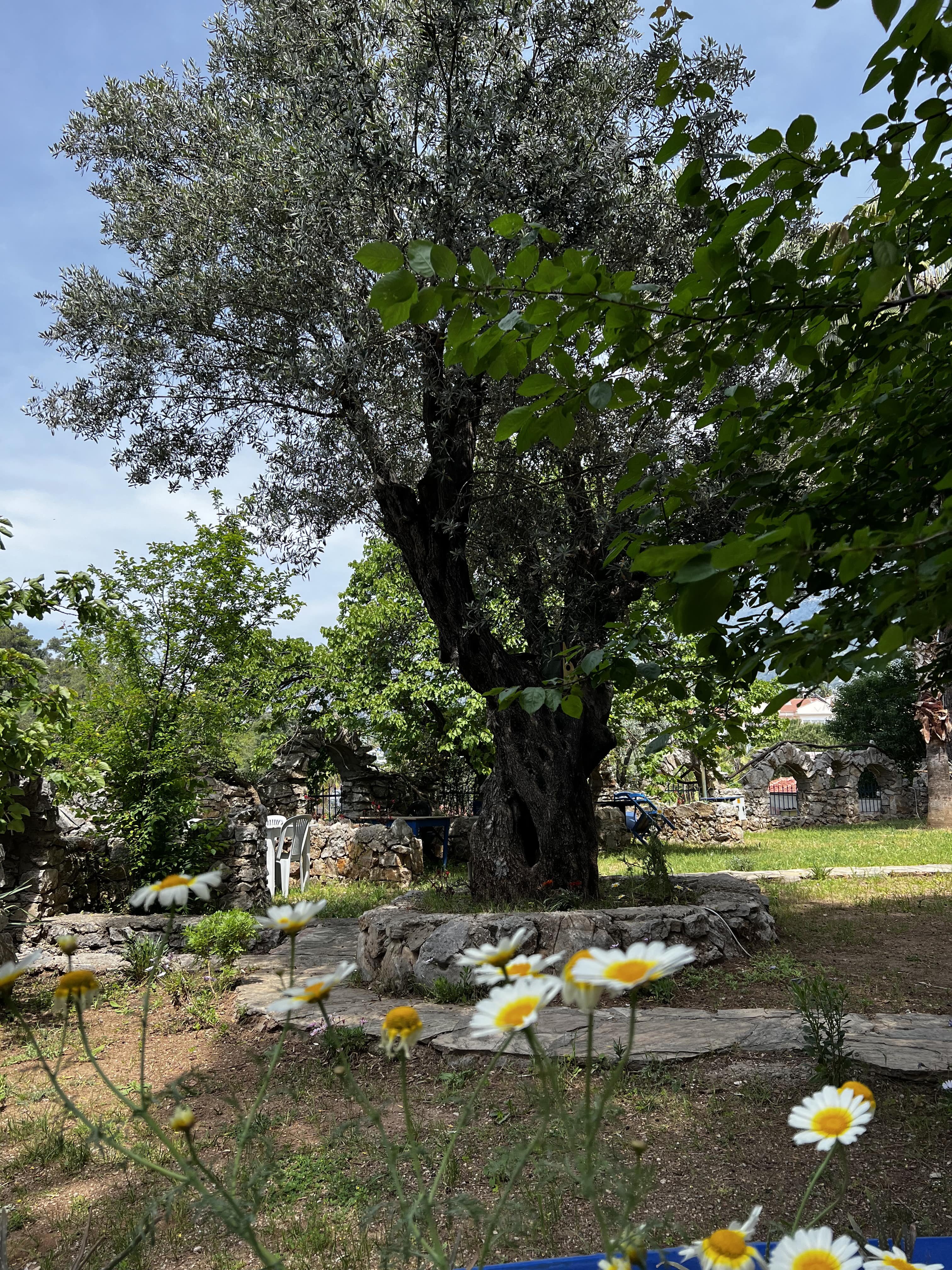 Golden Gate Hotel Ölüdeniz