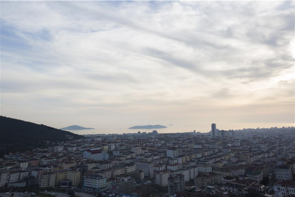 Cityloft 161