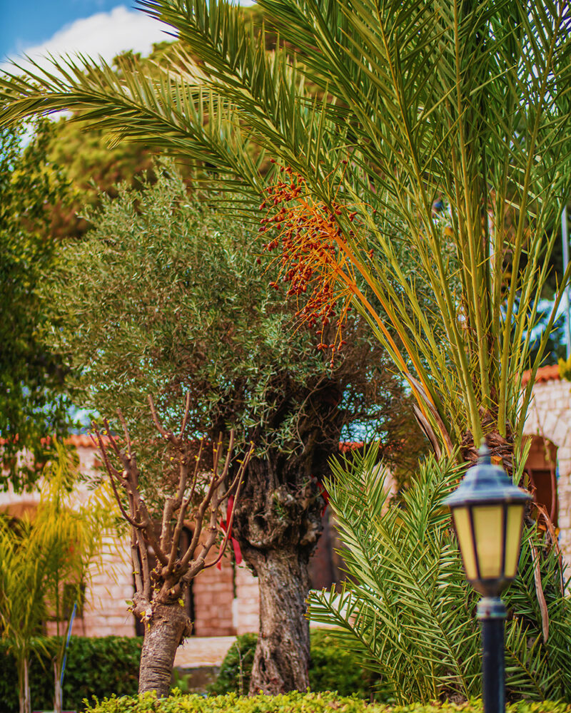 Dirik Surf & Beach Club Hotel Datça
