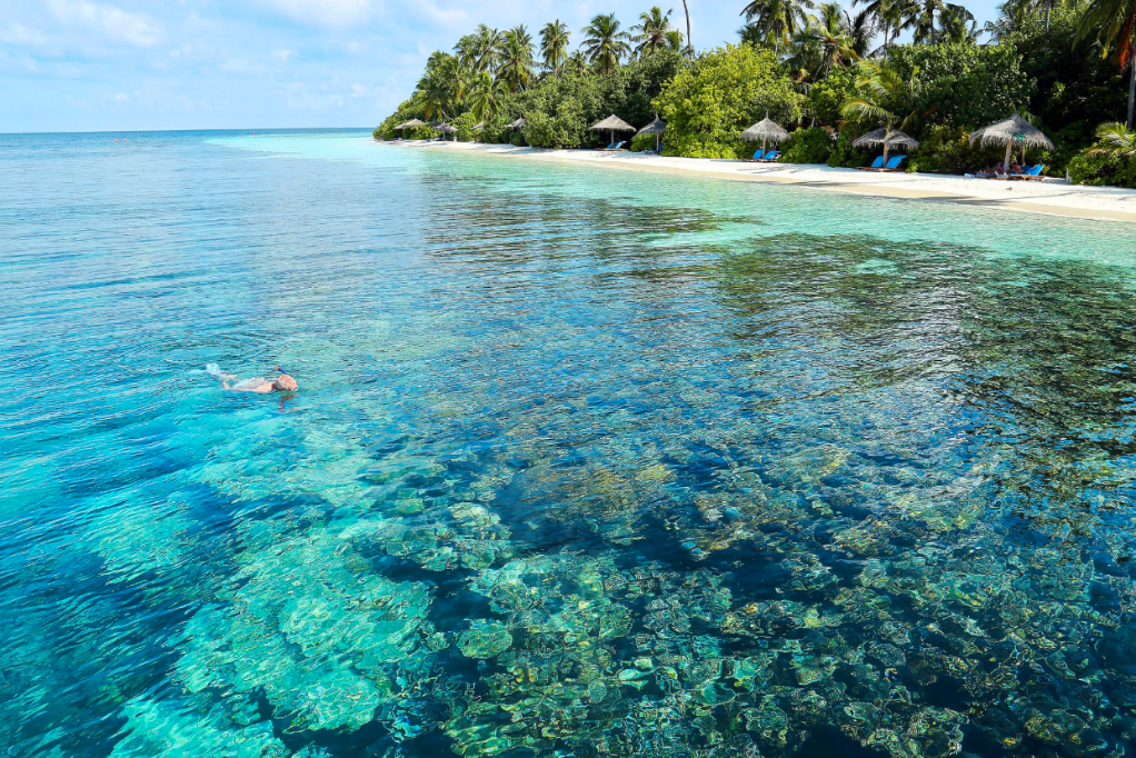 Robinson Maldives - Adults Only · 37