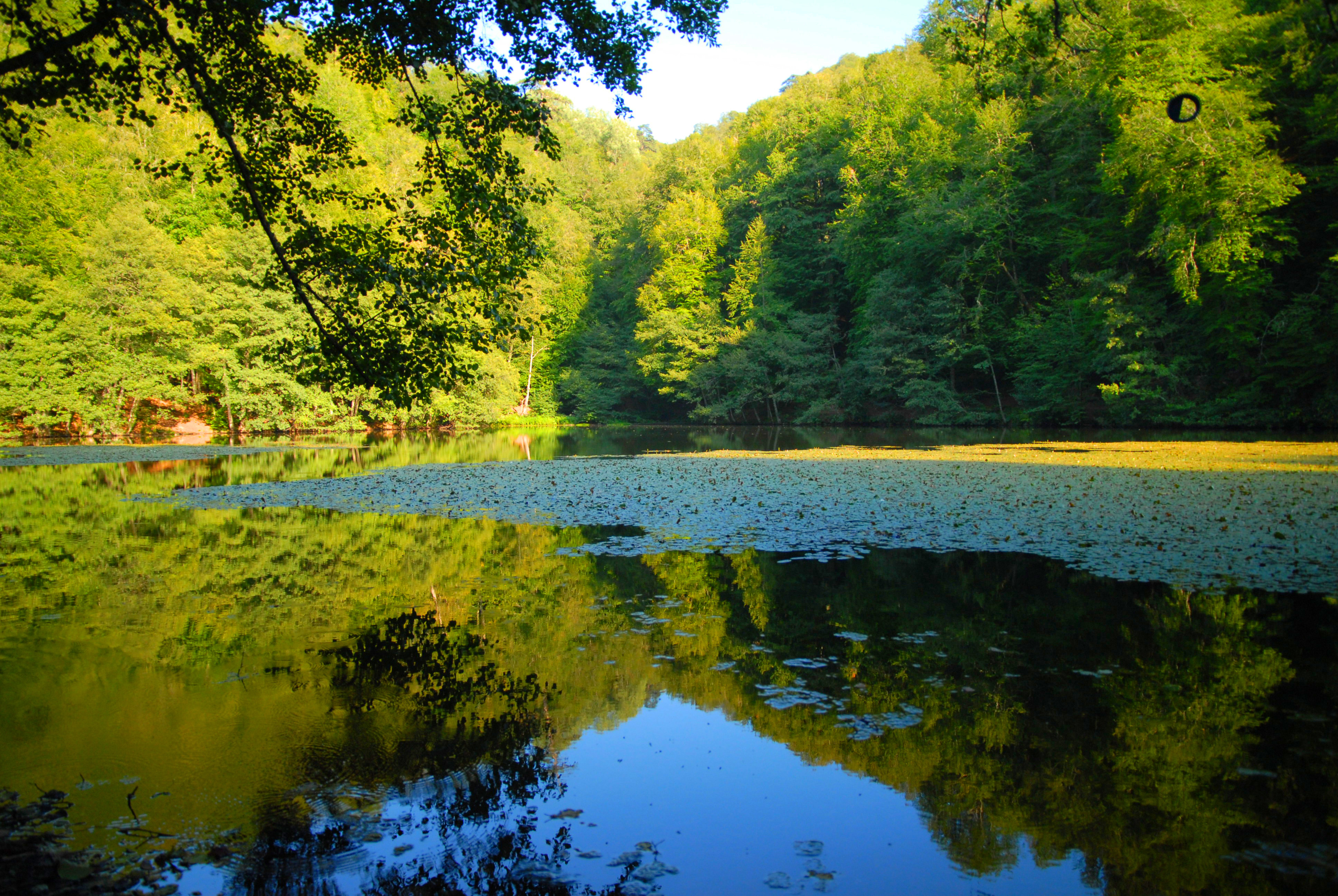 Bolu Termal Hotel & Spa