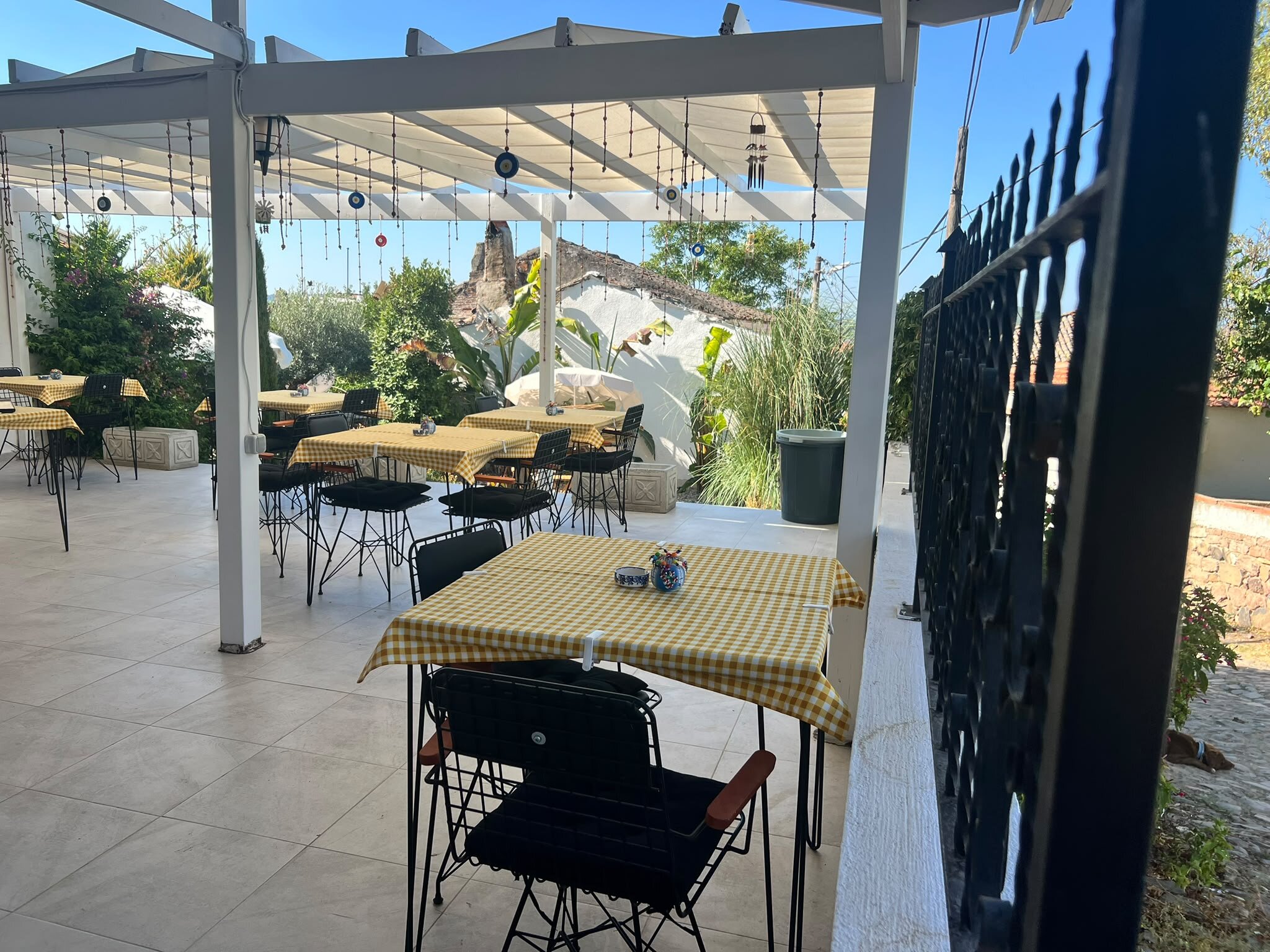 Arcadia Cunda · 16