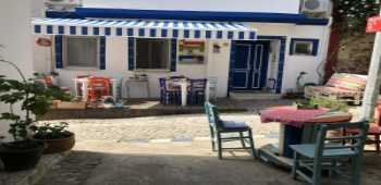 Martı Bozcaada · 25