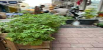 Can Can Pansiyon · 21