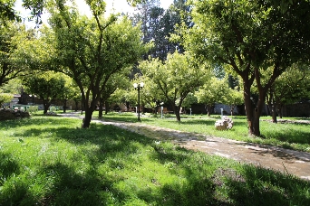 Green Valley Butik Otel