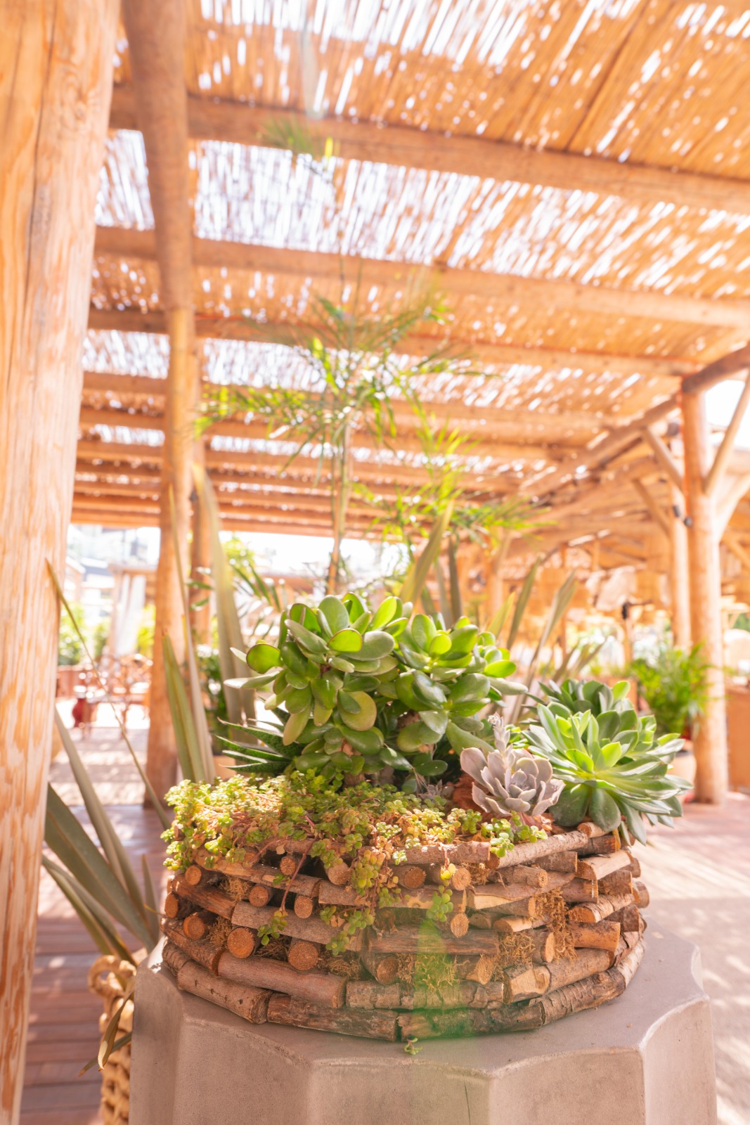 D Plaj Rezidans Yalıkavak