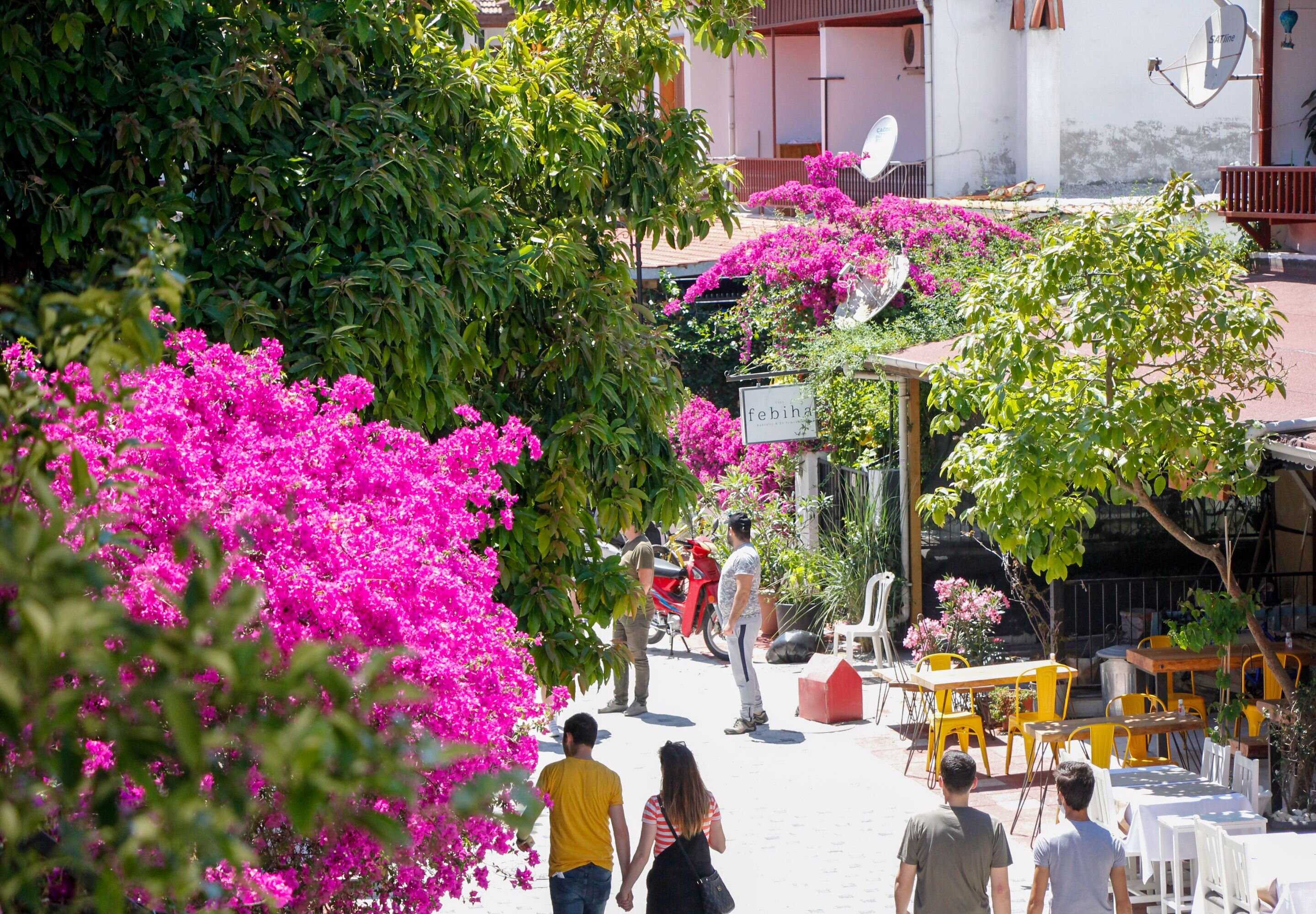 Limon Otel Akyaka