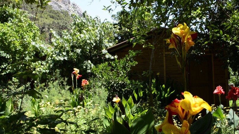 Olimpos Mercan Bungalow galeri 4