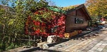 The Canyon Konaklama & Restaurant · 20