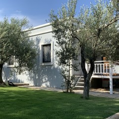 Zeytinli Bahçe Konuk Evi