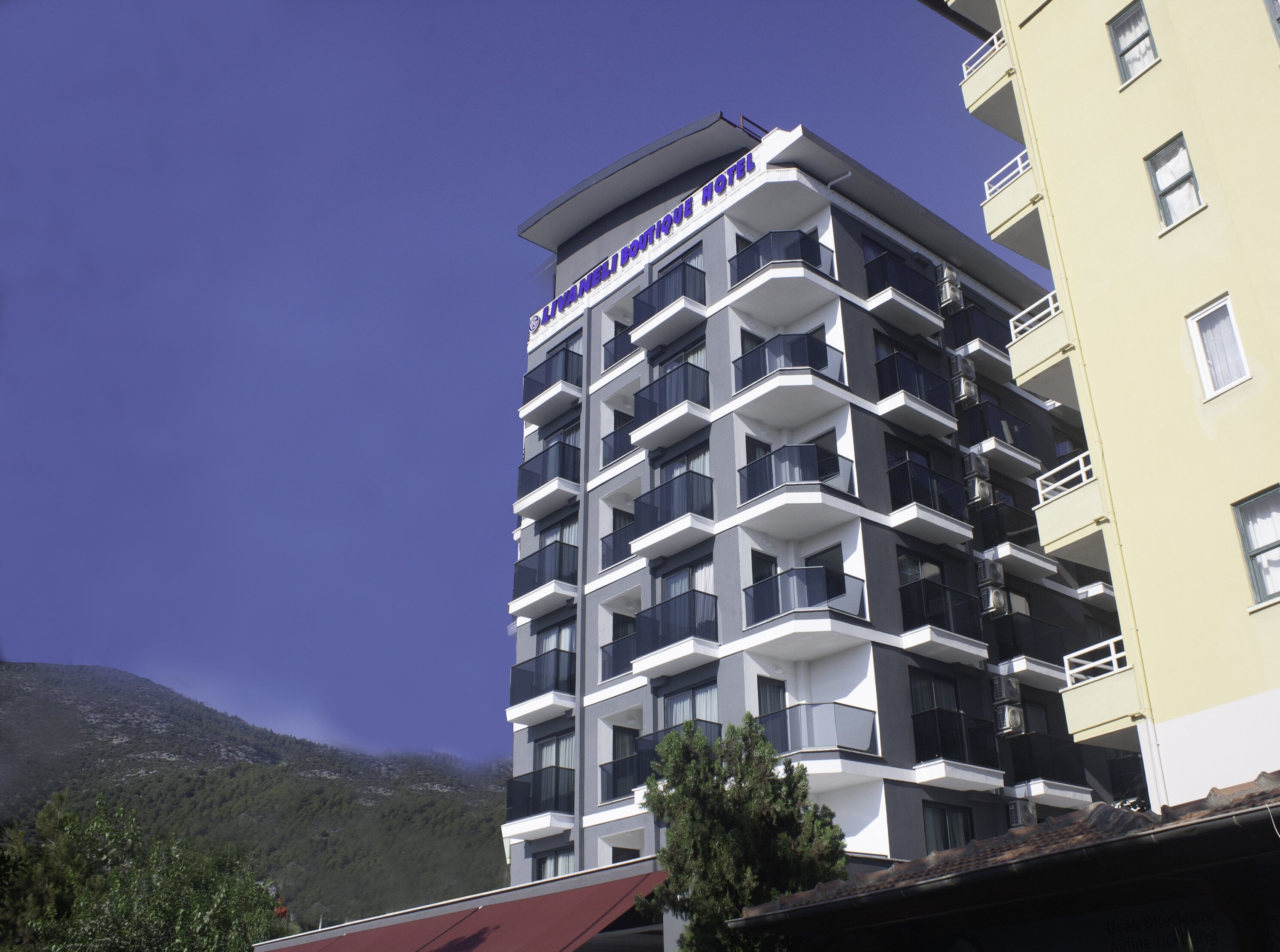 Livaneli Boutique Hotel galeri 4