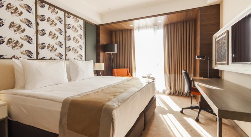 Holiday Inn Kayseri - Düvenönü