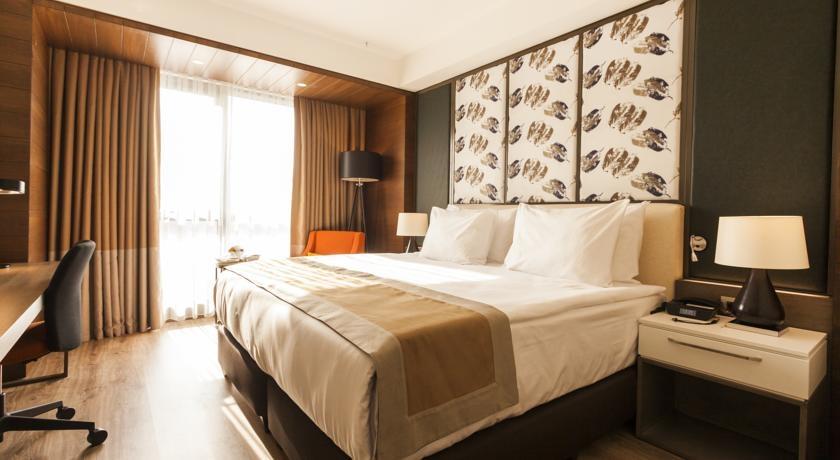 Executive Room