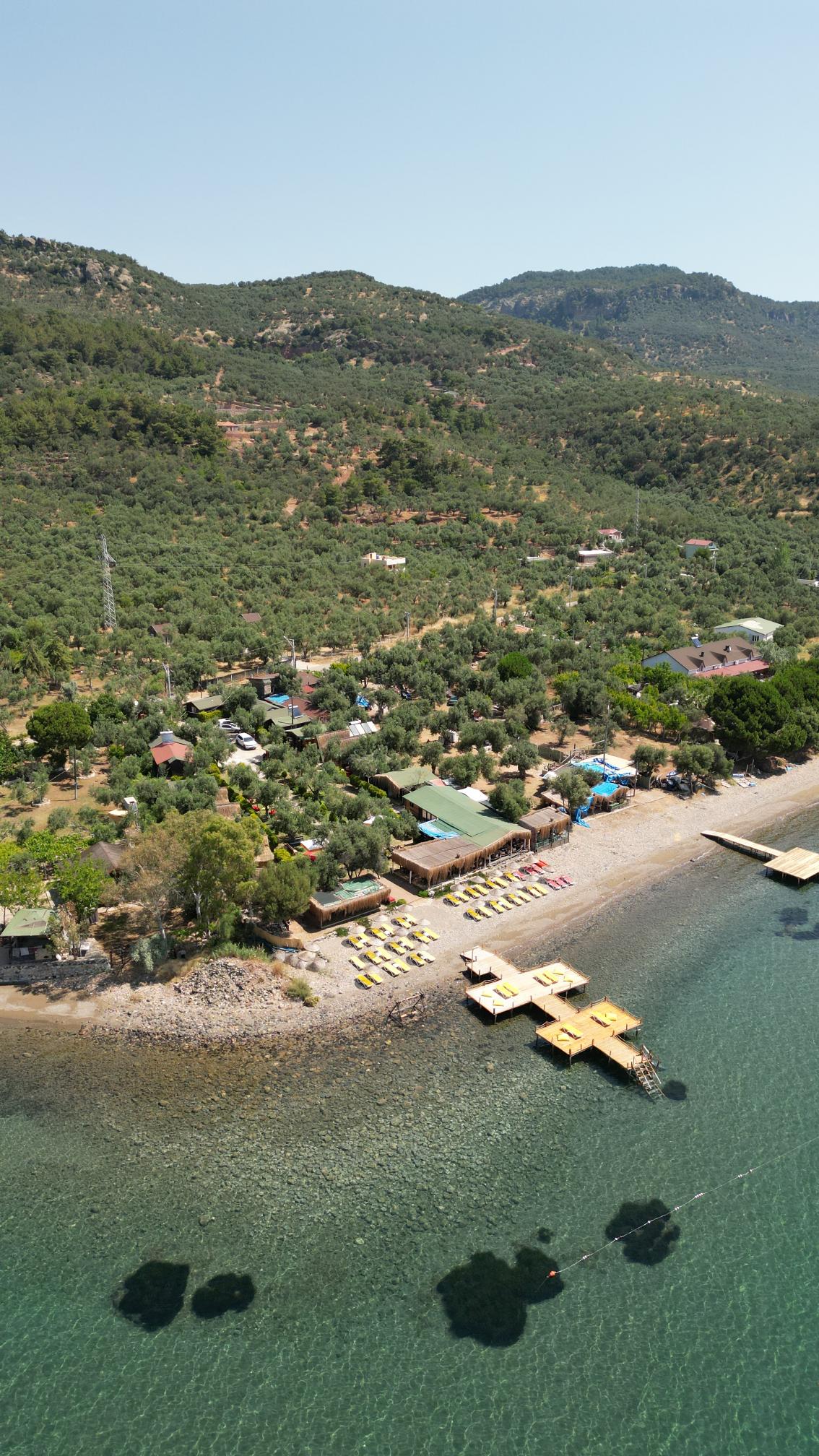 Concept Bungalow