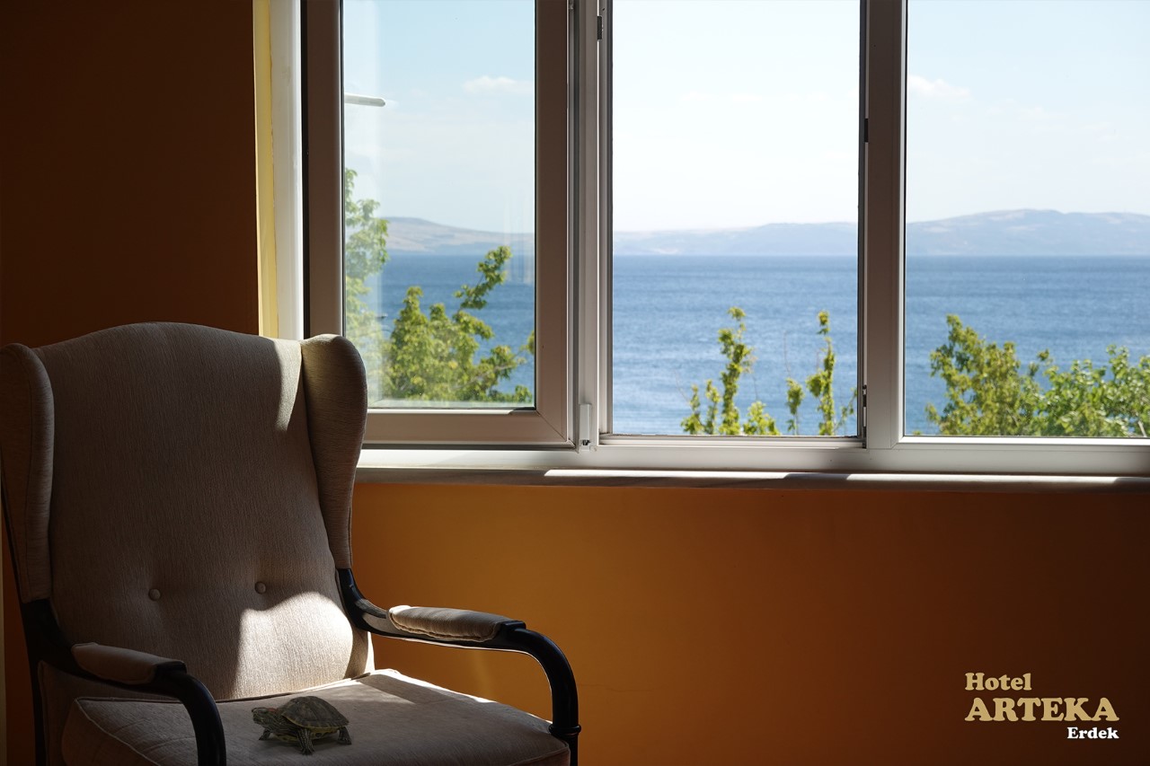 Hotel Arteka