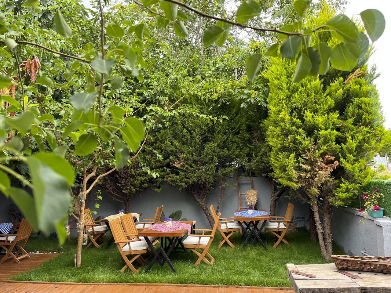 Sakız Kızı Alaçatı