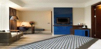 Wyndham Grand İstanbul Europe · 51