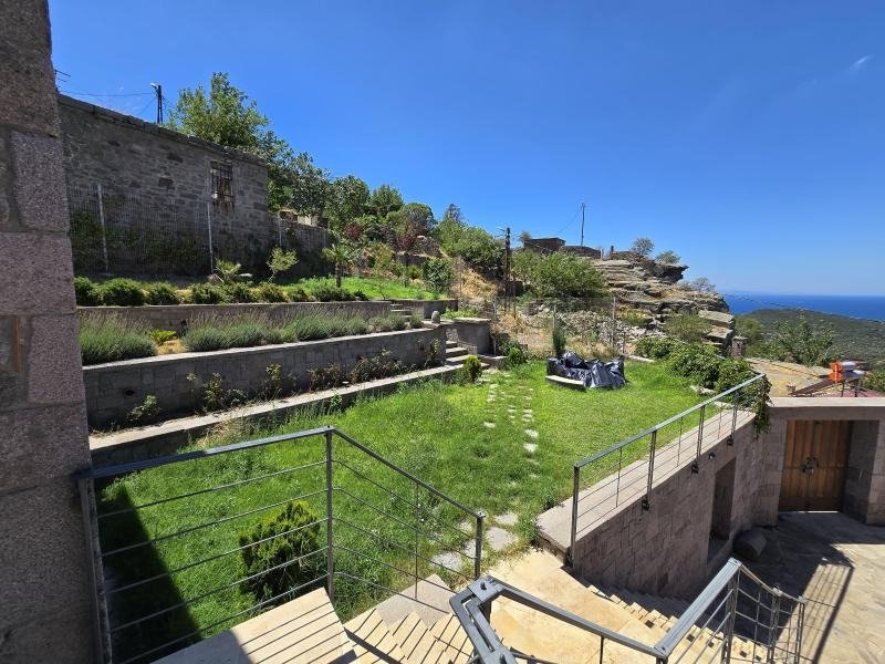 Hane Assos · 11