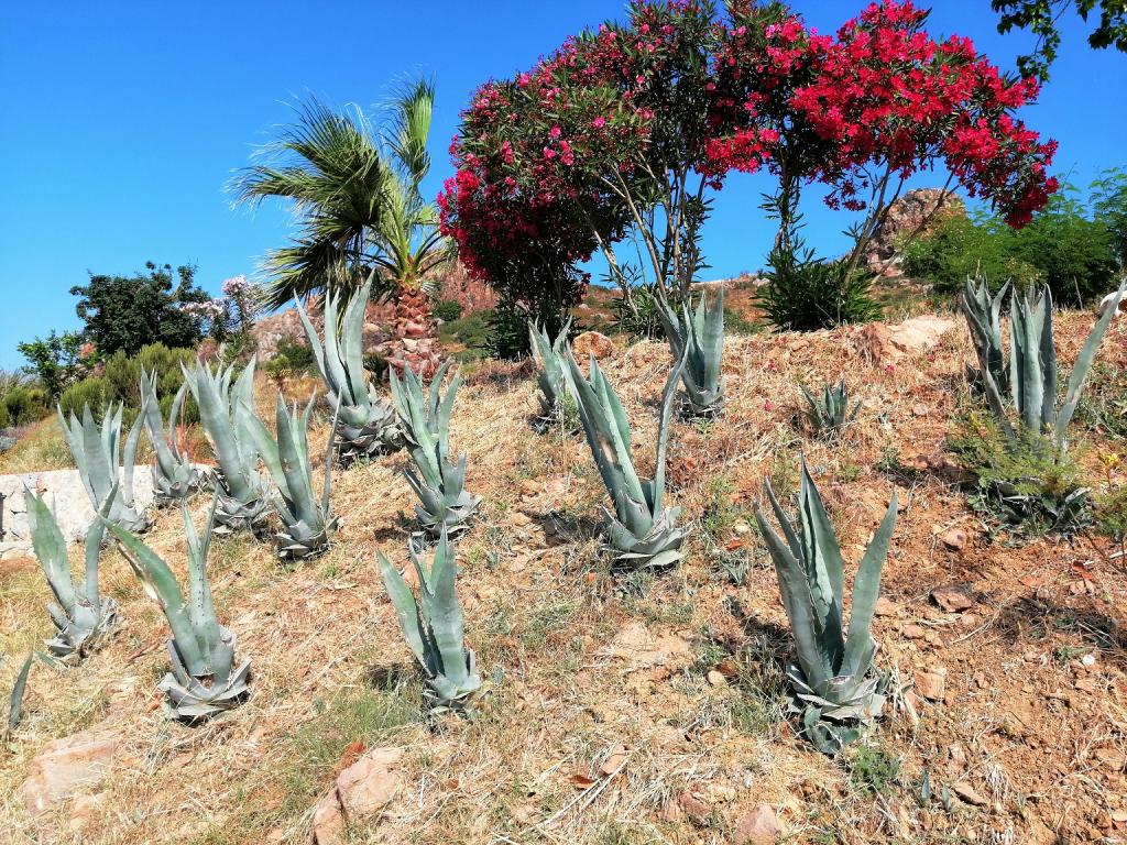 Eco Farm Boutique Hotel