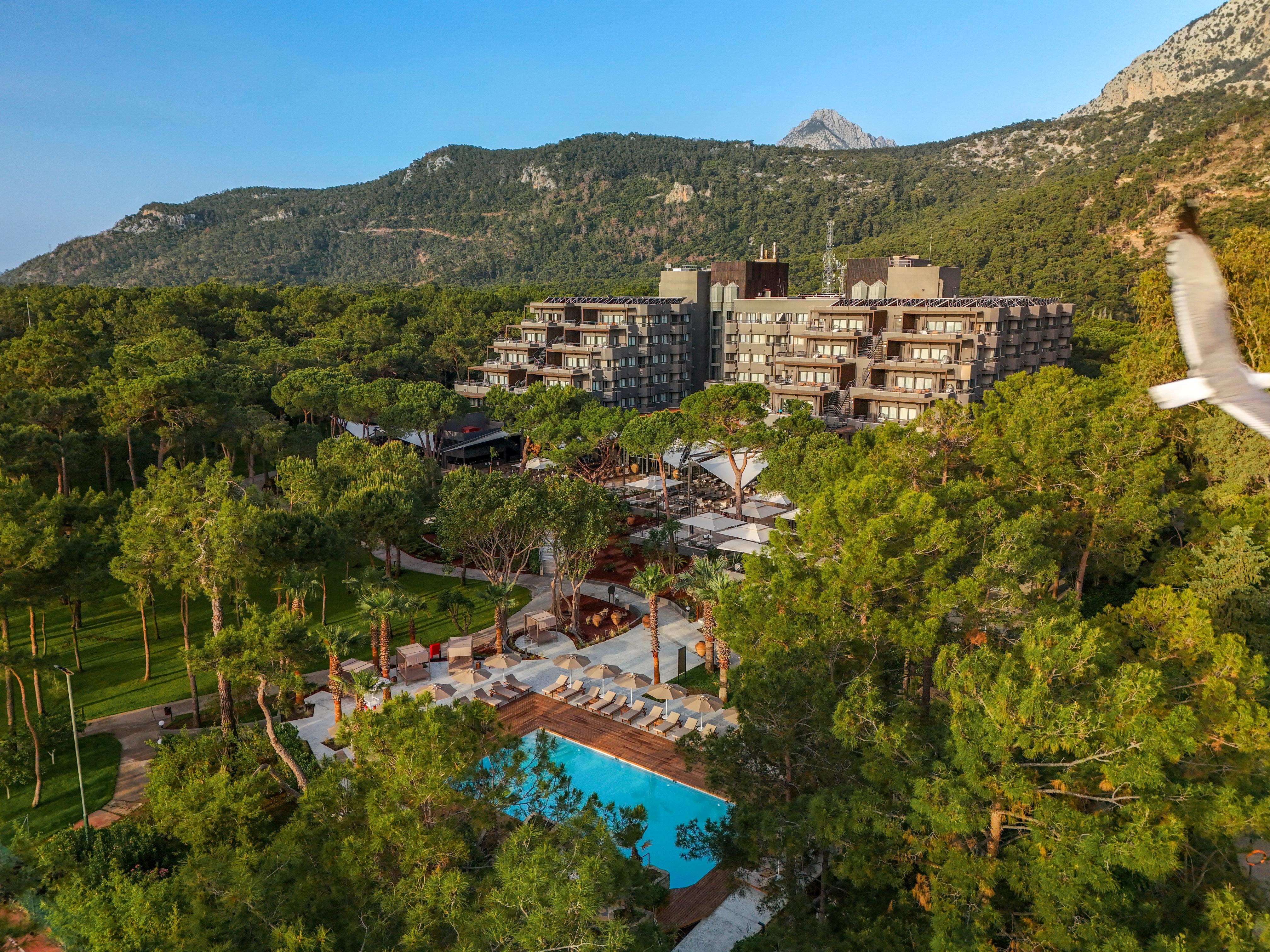 Balmy Foresta Hotel