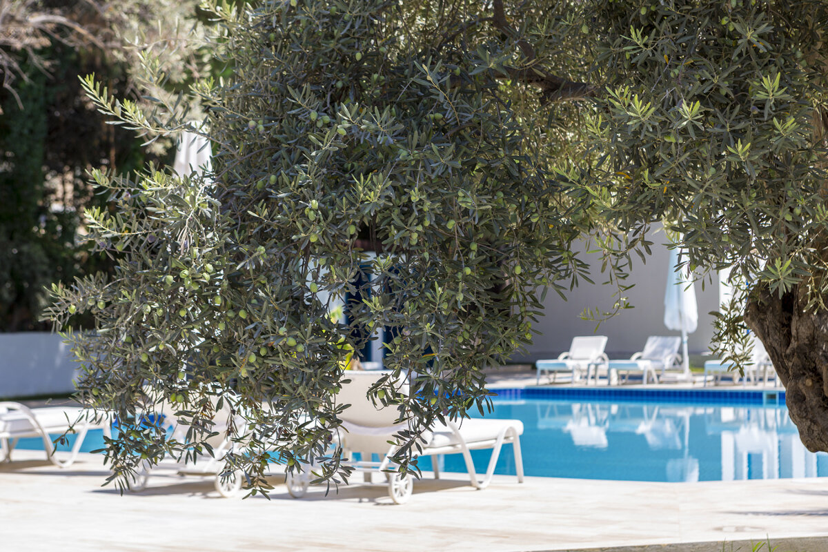Adella Garden Marina Hotel · 6