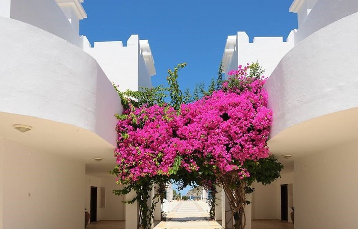Ladonia Hotels Zemda Boutique
