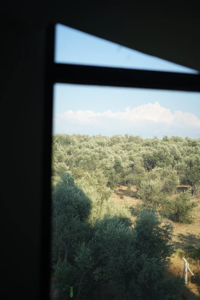 Standart Oda Doğa Manzaralı